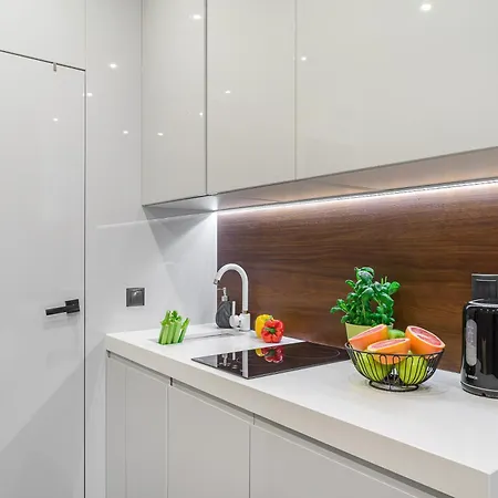 Modern On Twarda Street Apartment Warsaw